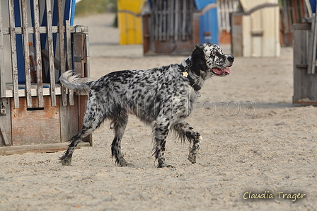 Hundestrand / Bild 33 von 376 / 19.09.2016 16:09 / DSC_8454.JPG