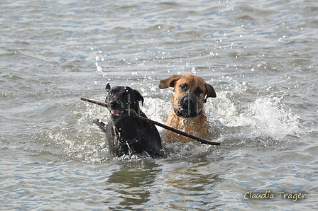 Hundestrand / Bild 36 von 376 / 19.09.2016 16:14 / DSC_8522.JPG