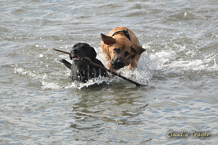 Hundestrand / Bild 37 von 376 / 19.09.2016 16:14 / DSC_8523.JPG