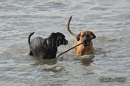 Hundestrand / Bild 40 von 376 / 19.09.2016 16:14 / DSC_8536.JPG