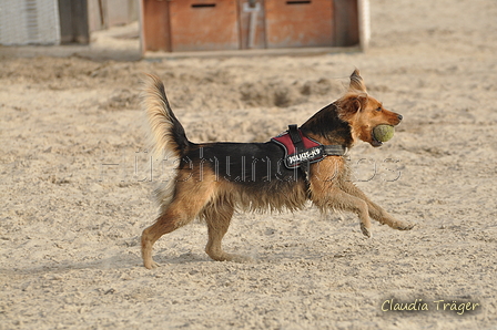 Hundestrand / Bild 42 von 376 / 19.09.2016 16:16 / DSC_8580.JPG