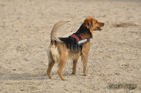 Hundestrand / Bild 43 von 376 / 19.09.2016 16:16 / DSC_8583.JPG