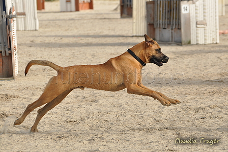 Hundestrand / Bild 47 von 376 / 19.09.2016 16:17 / DSC_8596.JPG