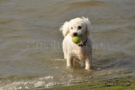 Hundestrand / Bild 50 von 376 / 19.09.2016 16:20 / DSC_8667.JPG