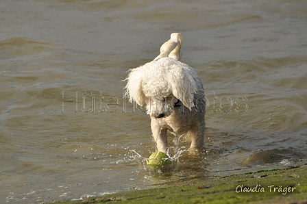 Hundestrand / Bild 51 von 376 / 19.09.2016 16:20 / DSC_8669.JPG