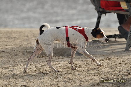 Hundestrand / Bild 53 von 376 / 19.09.2016 16:25 / DSC_8752.JPG