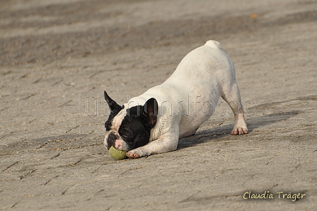 Hundestrand / Bild 56 von 376 / 19.09.2016 16:26 / DSC_8772.JPG