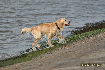 Hundestrand / Bild 57 von 376 / 19.09.2016 16:26 / DSC_8777.JPG