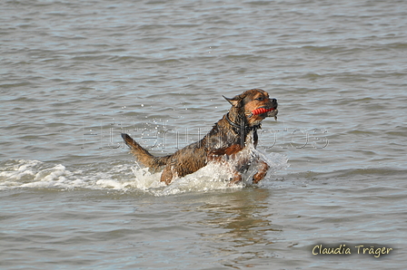 Hundestrand / Bild 60 von 376 / 19.09.2016 16:29 / DSC_8805.JPG