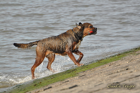 Hundestrand / Bild 62 von 376 / 19.09.2016 16:29 / DSC_8814.JPG