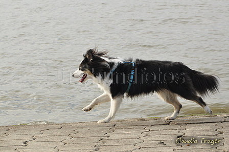 Hundestrand / Bild 63 von 376 / 19.09.2016 16:29 / DSC_8820.JPG