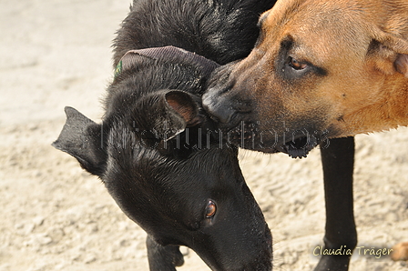 Hundestrand / Bild 64 von 376 / 19.09.2016 16:30 / DSC_8844.JPG