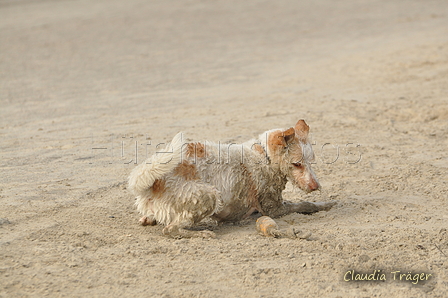 Hundestrand / Bild 66 von 376 / 19.09.2016 16:31 / DSC_8855.JPG