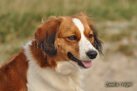 Hundestrand / Bild 76 von 376 / 19.09.2016 16:37 / DSC_8918.JPG