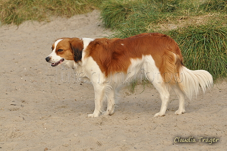 Hundestrand / Bild 77 von 376 / 19.09.2016 16:37 / DSC_8924.JPG