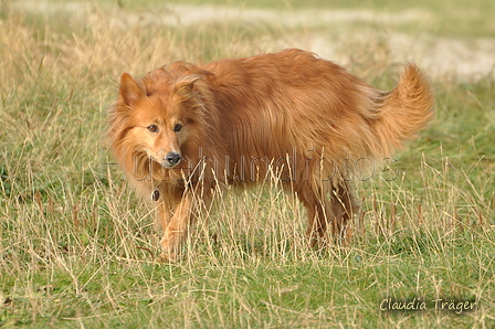 Hundestrand / Bild 80 von 376 / 19.09.2016 16:39 / DSC_8948.JPG