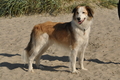 Vorschau von Bild 138 von 376