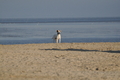 Hundestrand / Bild 303 von 376 / 22.09.2016 09:03 / DSC_0849.JPG