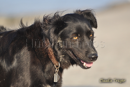 Hundestrand / Bild 322 von 376 / 22.09.2016 09:19 / DSC_1020.JPG