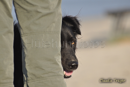 Hundestrand / Bild 323 von 376 / 22.09.2016 09:20 / DSC_1022.JPG