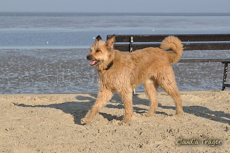 Hundestrand / Bild 325 von 376 / 22.09.2016 09:25 / DSC_1033.JPG