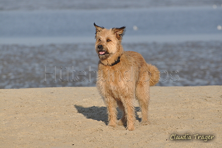 Hundestrand / Bild 328 von 376 / 22.09.2016 09:28 / DSC_1053.JPG