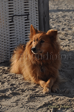 Hundestrand / Bild 332 von 376 / 22.09.2016 09:37 / DSC_1110.JPG