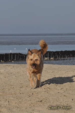 Hundestrand / Bild 335 von 376 / 22.09.2016 09:46 / DSC_1138.JPG