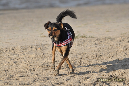 Hundestrand / Bild 337 von 376 / 22.09.2016 10:05 / DSC_1180.JPG