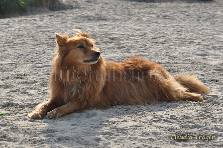 Hundestrand / Bild 355 von 376 / 22.09.2016 10:29 / DSC_1410.JPG