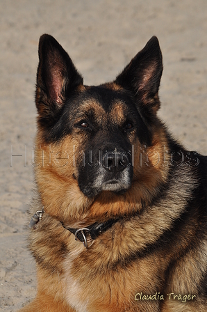 Hundestrand / Bild 357 von 376 / 22.09.2016 10:34 / DSC_1430.JPG