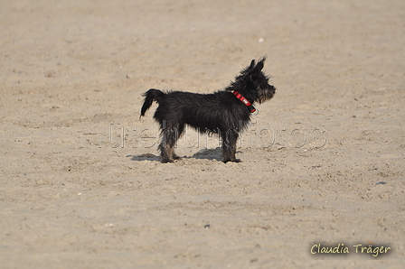 Hundestrand / Bild 360 von 376 / 22.09.2016 10:38 / DSC_1460.JPG