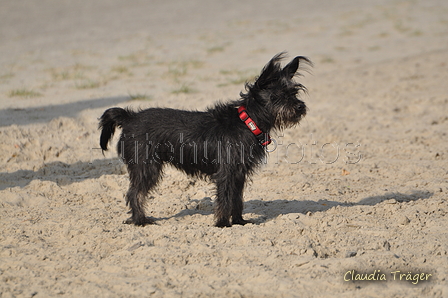 Hundestrand / Bild 363 von 376 / 22.09.2016 10:40 / DSC_1480.JPG