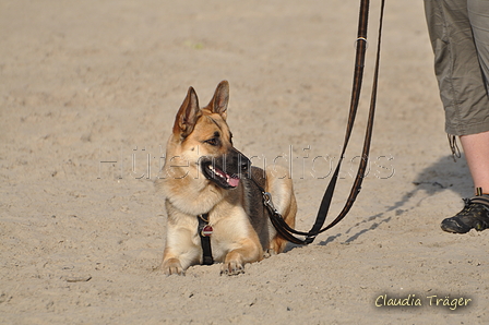 Hundestrand / Bild 365 von 376 / 22.09.2016 10:41 / DSC_1488.JPG