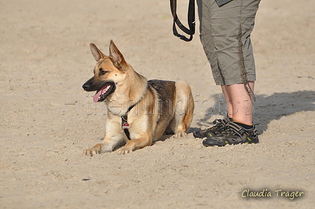 Hundestrand / Bild 366 von 376 / 22.09.2016 10:41 / DSC_1497.JPG