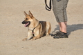 Hundestrand / Bild 366 von 376 / 22.09.2016 10:41 / DSC_1497.JPG