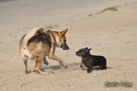 Hundestrand / Bild 367 von 376 / 22.09.2016 10:42 / DSC_1500.JPG