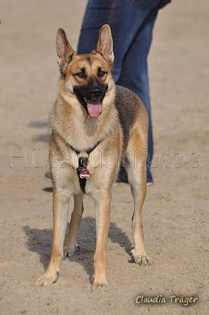 Hundestrand / Bild 369 von 376 / 22.09.2016 10:44 / DSC_1519.JPG