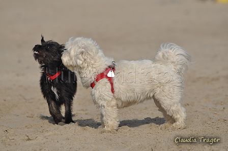 Hundestrand / Bild 370 von 376 / 22.09.2016 10:45 / DSC_1521.JPG