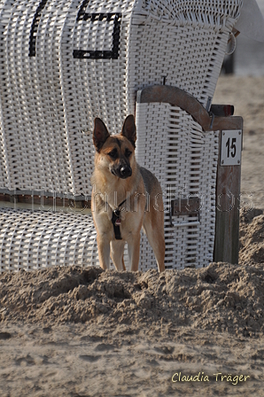 Hundestrand / Bild 376 von 376 / 22.09.2016 11:00 / DSC_1617.JPG