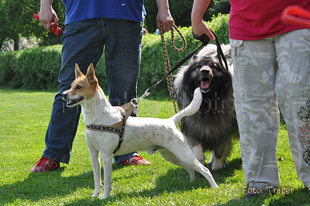 Bild 102 von 224