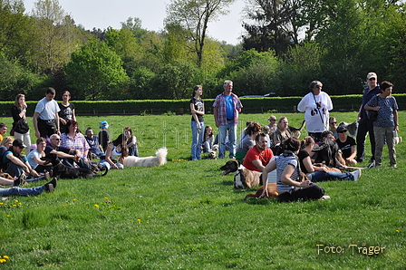 Bild 203 von 224