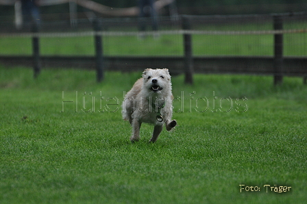 Jederhundrennen / Bild 31 von 283 / 01.05.2014 11:49 / DSC_7605.JPG