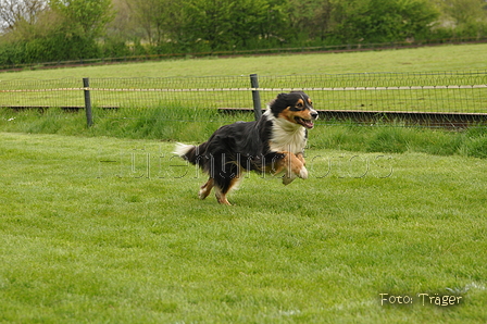 Jederhundrennen / Bild 25 von 143 / 01.05.2015 12:39 / DSC_1776.JPG