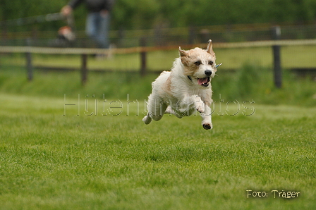 Jederhundrennen / Bild 42 von 143 / 01.05.2015 14:56 / DSC_1940.JPG