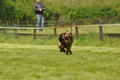 Jederhundrennen / Bild 74 von 143 / 01.05.2015 15:10 / DSC_2062.JPG