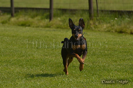 Jederhundrennen / Bild 7 von 488 / 01.05.2016 10:45 / DSC_7982.JPG