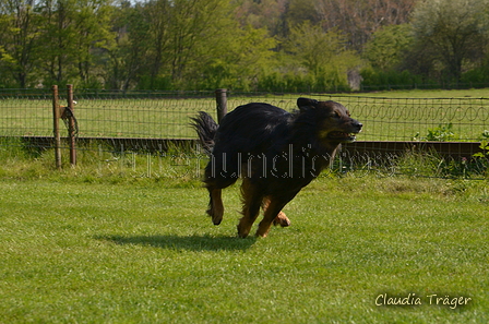 Jederhundrennen / Bild 59 von 488 / 01.05.2016 11:14 / DSC_8268.JPG