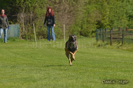 Jederhundrennen / Bild 60 von 488 / 01.05.2016 11:15 / DSC_8277.JPG