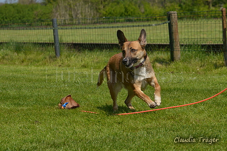 Jederhundrennen / Bild 365 von 488 / 01.05.2016 13:58 / DSC_0199.JPG